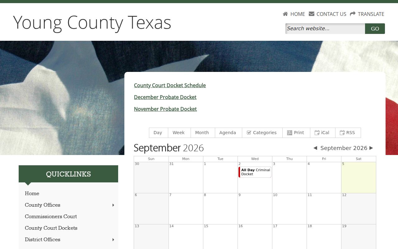 Young County court docket calendar categories